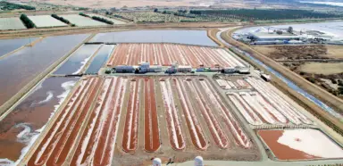 スライドショー - 4