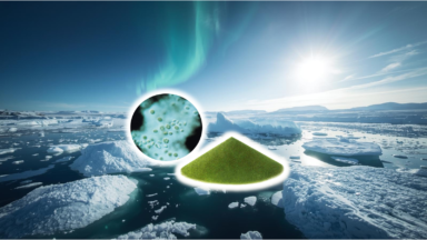 スライドショー - 2